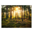 Search for sun shine art Sunrise