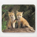 Search for den mousepads Red fox