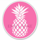 Search for pineapples stickers Southern
