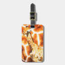 Search for giraffe pattern accessories White