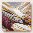 Search for corn coasters Autumn