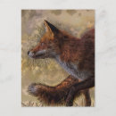Search for woodland foxes postcards Red fox