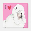 Recherche de le caniche standard magnets J'aime mon caniche