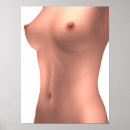 Recherche de torse posters Illustration
