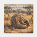 Search for south africa magnets Nature