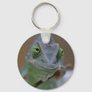Search for terrarium keychains Chameleon