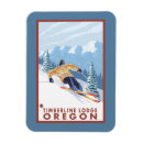 Recherche de skieur magnets États