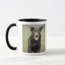 Search for full length mugs Motion