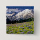 Search for mt stuff buttons Mt rainier national park