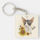 Search for cornish rex cat Portrait