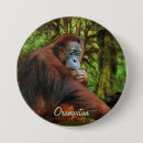 Recherche de primat badges Animaux