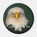 Search for eagle eyes magnets Wildlife