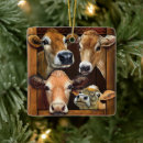 Search for beef ornaments Farm