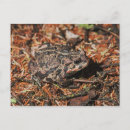 Search for edmonton alberta postcards Outdoors
