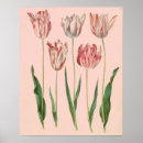 Search for pale pink posters Botanical