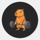 Search for gym lover stickers Bulk season
