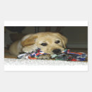 Search for yellow lab puppy stickers Cute