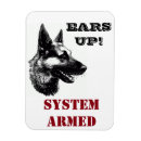 Search for foster homes magnets Rescue