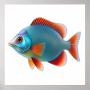 Search for reefs posters Marine