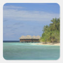 Recherche de maldives autocollants Palmier