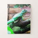 Recherche de lézard puzzles Vert