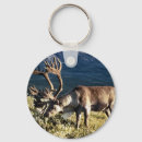 Search for caribe keychains Animals