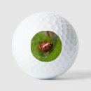 Search for ladybug golf balls Insect