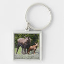 Search for ditto keychains Mammal