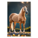 Recherche de cheval quart Palomino