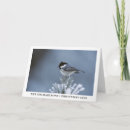 Search for pine branch cards Winter