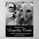 Search for dog grooming posters Pet