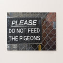 Search for pigeon puzzles Photography