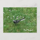 Recherche de tuyau cartes postales Mignon