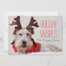 Search for fox terrier christmas cards Dog