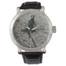 Search for lizard watches Wildlife