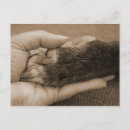 Search for pet adoption invitations Paw