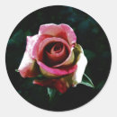 Search for oil paintings stickers Nature