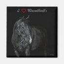 Search for warmblood Equine