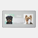 Recherche de petits chiens tapis souris Animal de compagnie