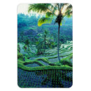 Search for lush green magnets Tropical