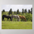 Search for alberta posters Outdoors