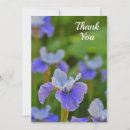 Search for iris flower cards Blue