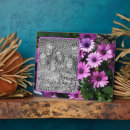 Search for daisies plaques Nature