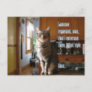 Search for third postcards Funny