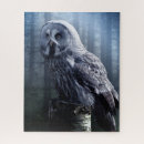 Recherche de foret puzzles Oiseau