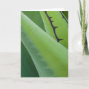 Recherche de agave vœux cartes Vert