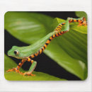 Search for tree frog mousepads Wild