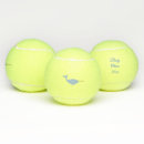 Search for tennis baby Boy