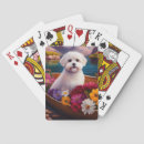 Recherche de maltais jeux de cartes Animal de compagnie