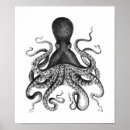Search for vintage octopus posters Black and white